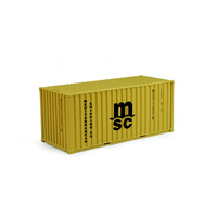 20' Shipping Container - MSC